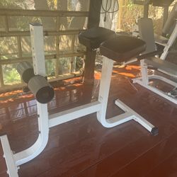 DUAL HYPERXTENSION . Abdominals / Lower Back Muscles 