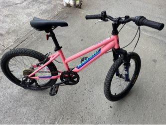 Nishiki Pueblo 20