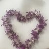blancas Treasures