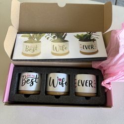Flower Pots For Wife $12obo