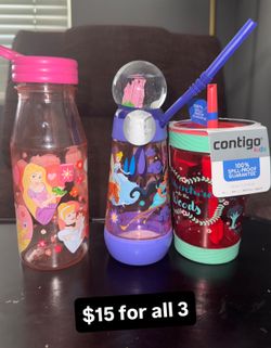 Disney Princess & Contigo bottles