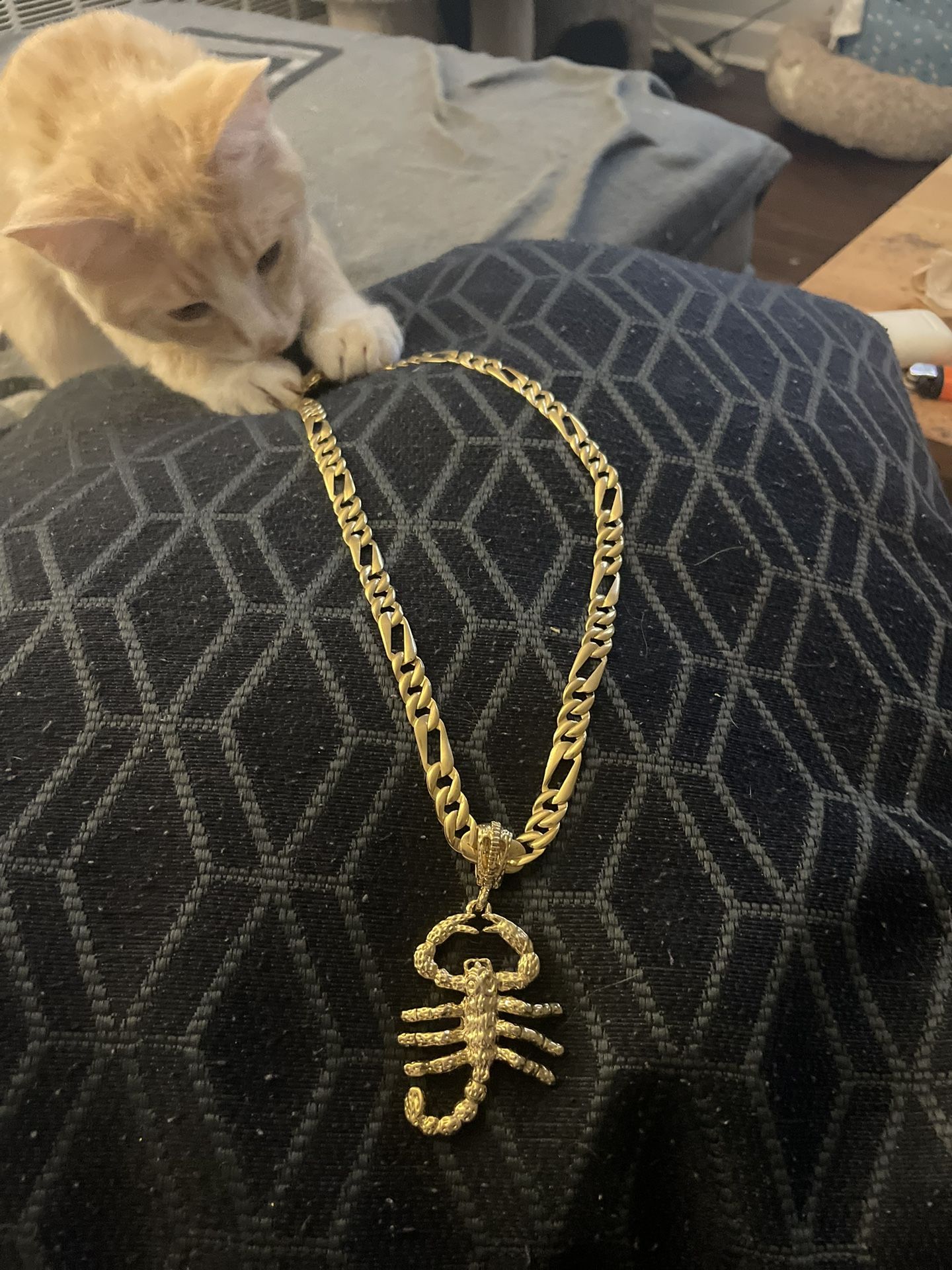 Gold Fill scorpion chain
