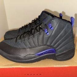 Jordan 12s Dark Concord 