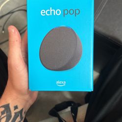 Echo Pop 