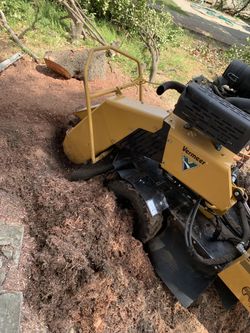 Stump grind