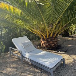 Restoration Hardware MESA Teak Adjustable Chaises – 4 Or Set of 2 (with Cushions)