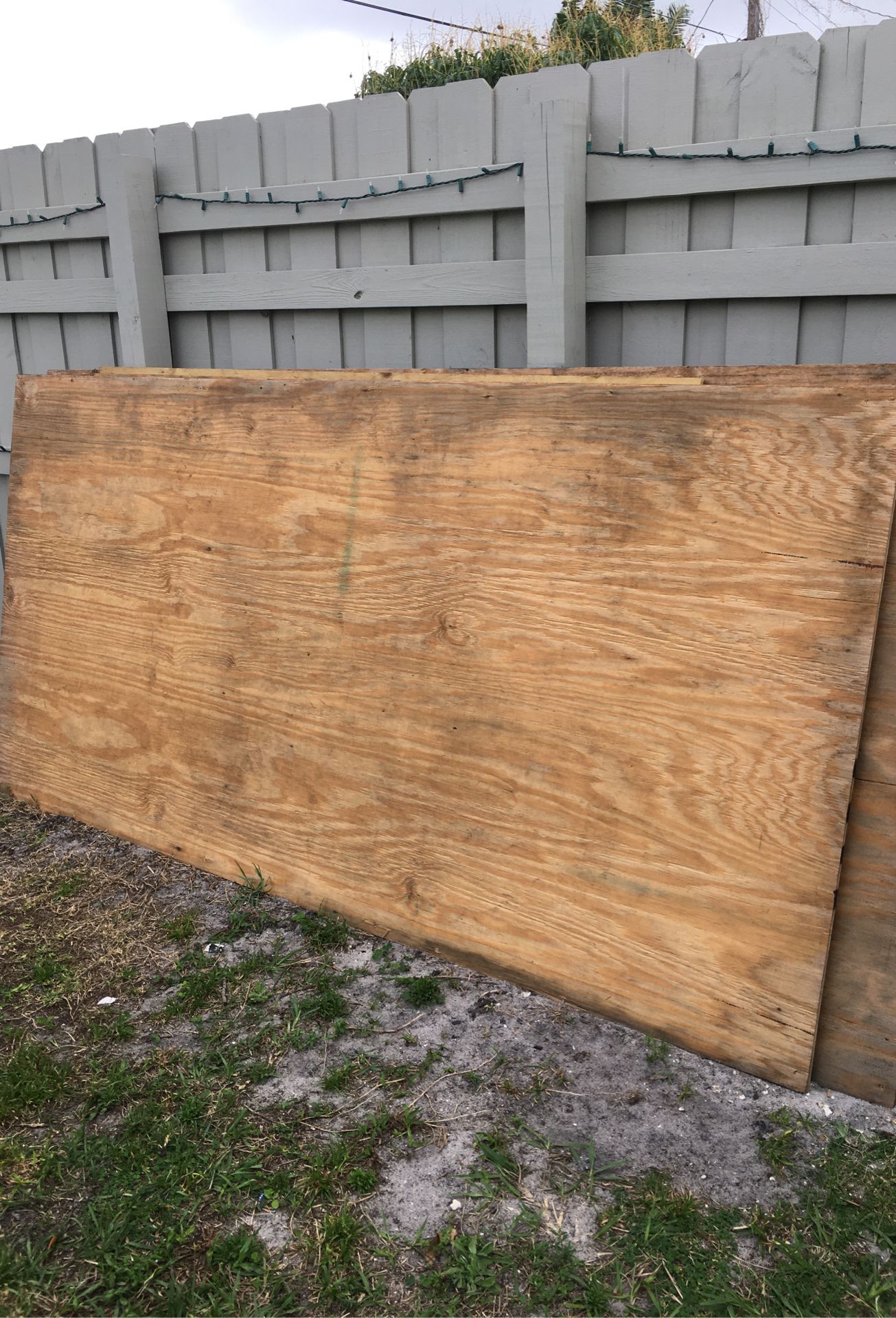 Free plywood