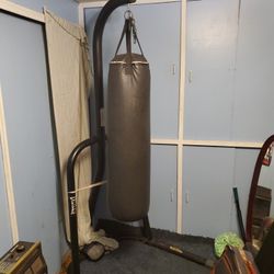 Everlast Punching Bag