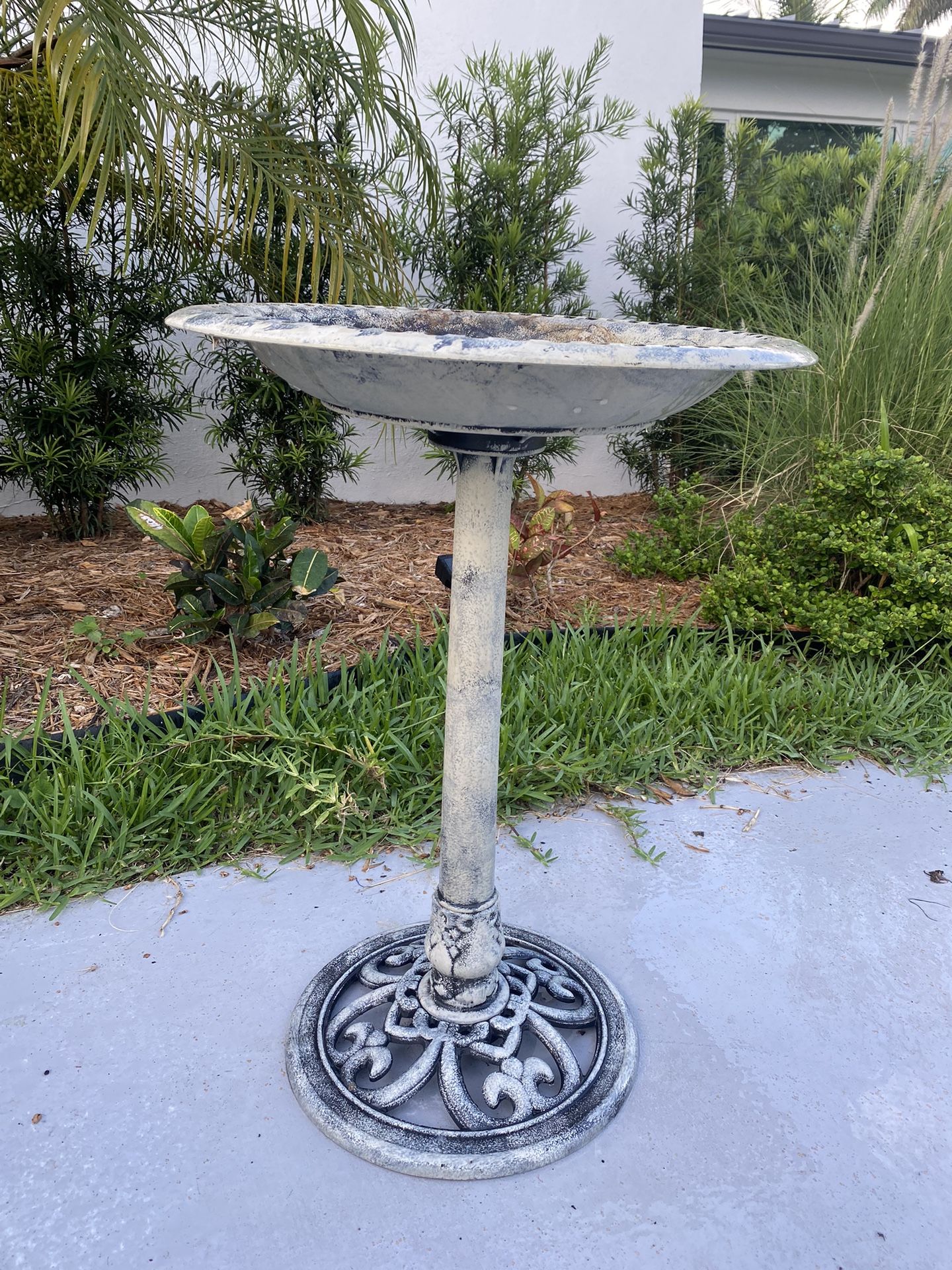Bird Bath