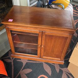 Wooden Modern Century Cabinet 