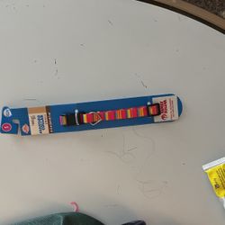 Small Cat Leash Free