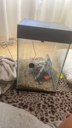10gal tank