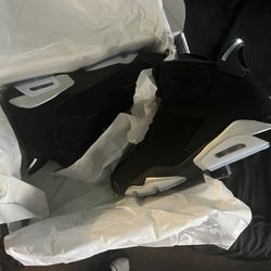 BRAND NEW Retro 6 (Chrome)