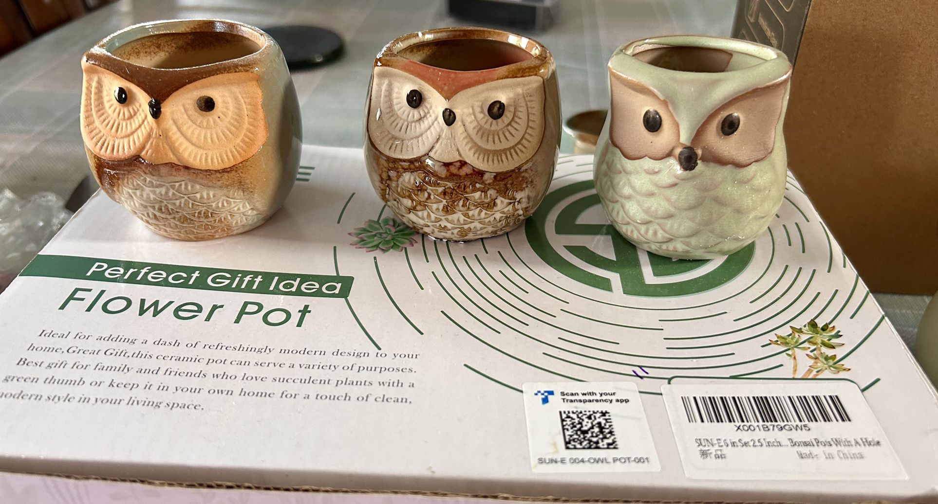 Small Owl Flower Pots For Small Plants. 