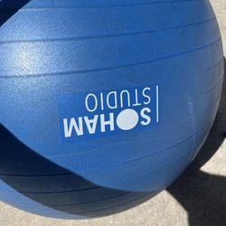 Exercise ball inflatable