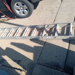 24 Ft Ladder 