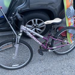 24 Inch Tires Schwinn Mountain Bike 
