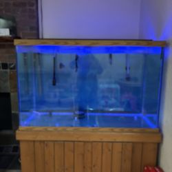 175-180 gallons fish tank full set up