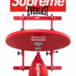 Supreme Everlast Speed Bag + Platform