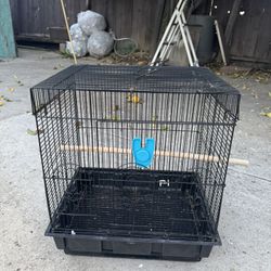 Bird  Cage 