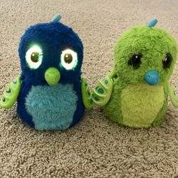 Hatchimals, Hatching Egg, Interactive Creature, Draggle, Blue/Green Egg by Spin Master