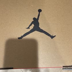 Brand new Jordan Retro 12