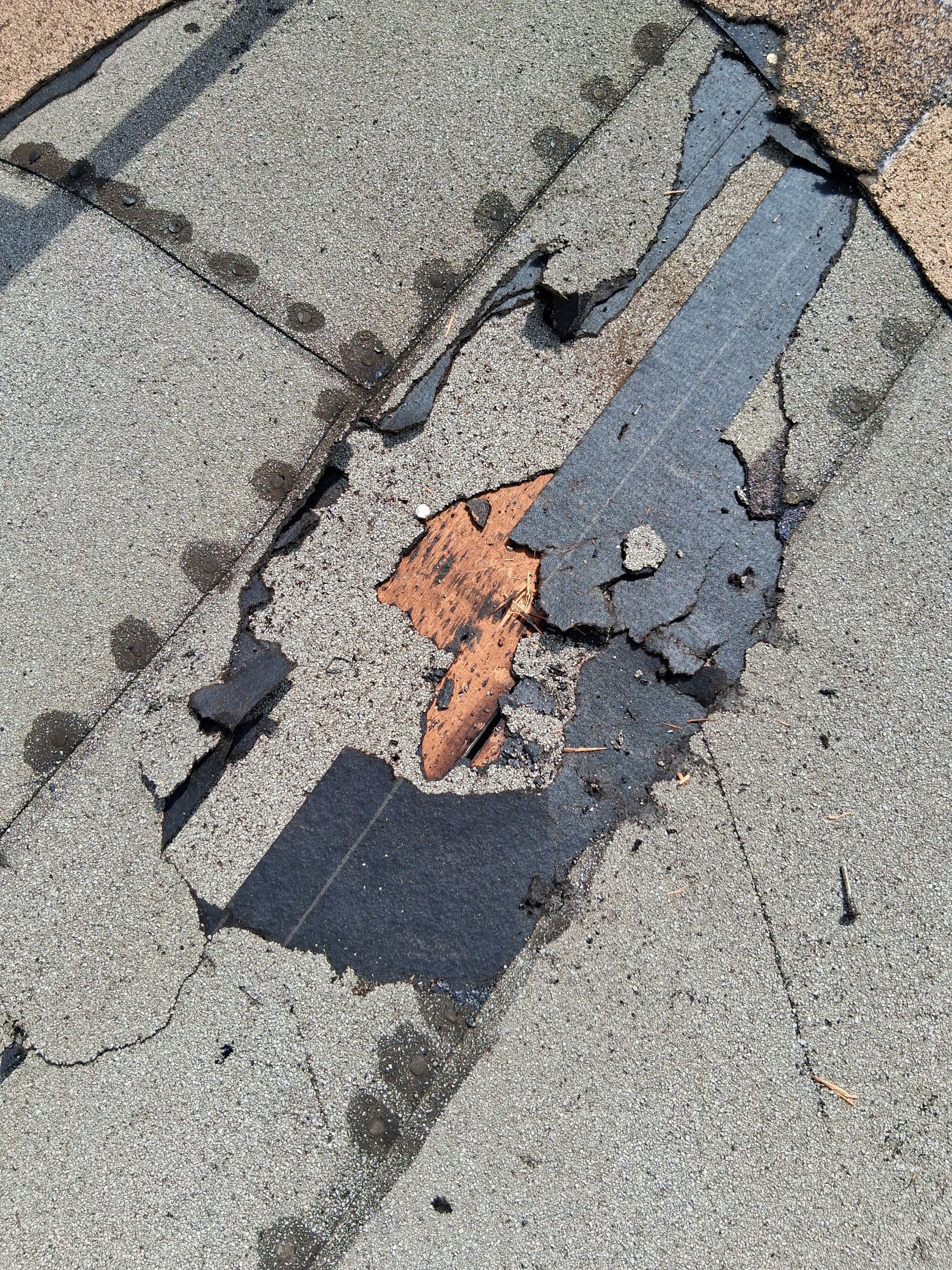 Roof Protection | Residential Roof Repair Options