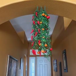 Red chili hanging plant