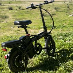 Electric Bike 