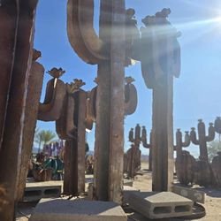 🌹Rustic Desert 🌵Saguaros, Agaves🌺 Flowers + POTTERY💐Yard Art