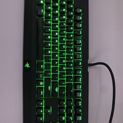 Razer Blackwidow Ultimate Keyboard 
