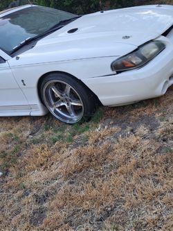 Mustang Cobra