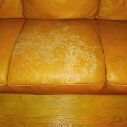 DaVinci Leather Sofa