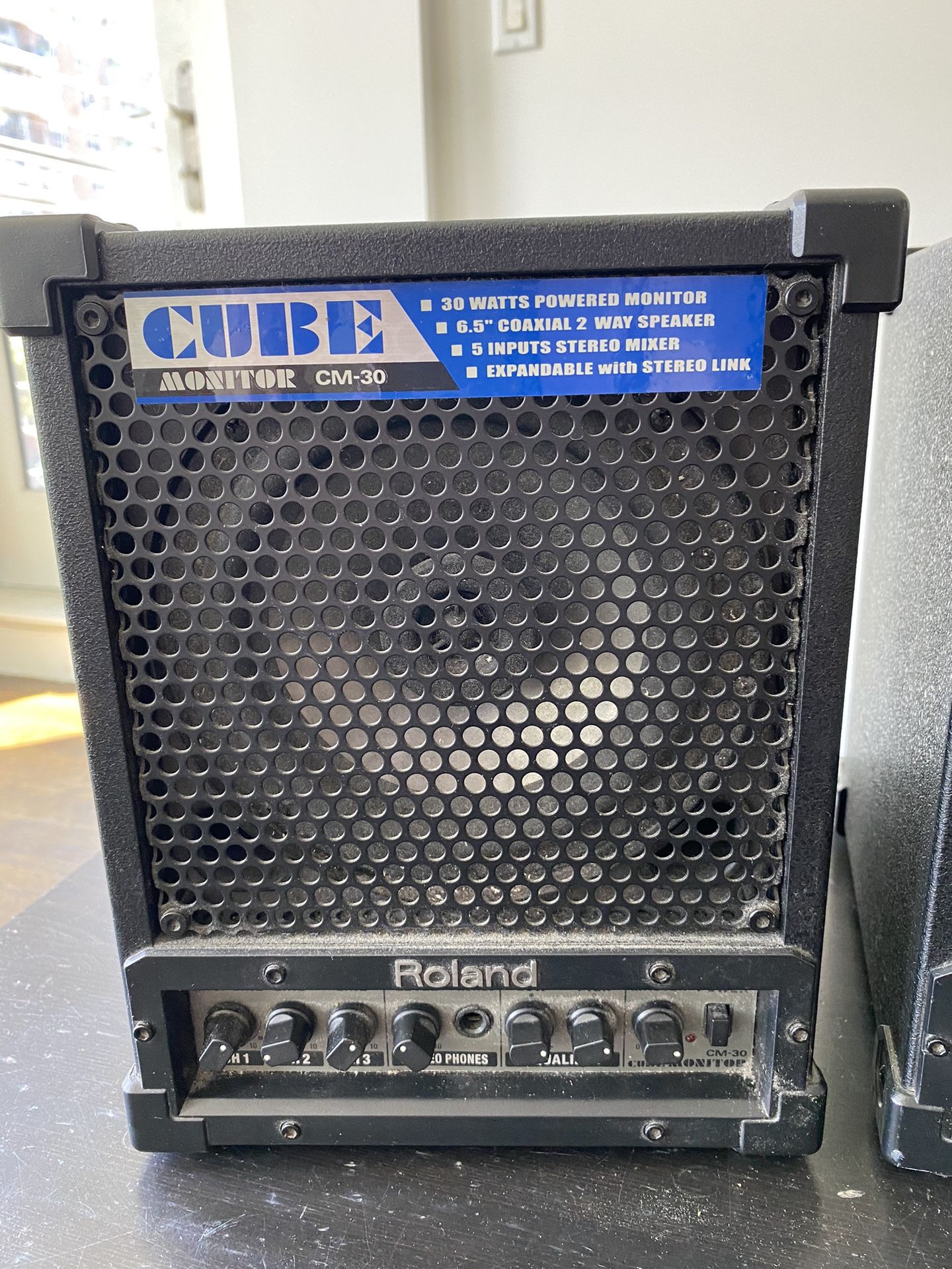 Roland CM-30 CUBE 30W 6.5 inch 2-way Portable Active Monitor for