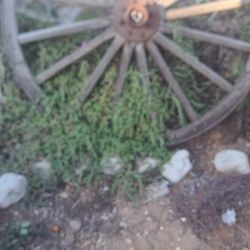 Antique Wagon Wheel  Large