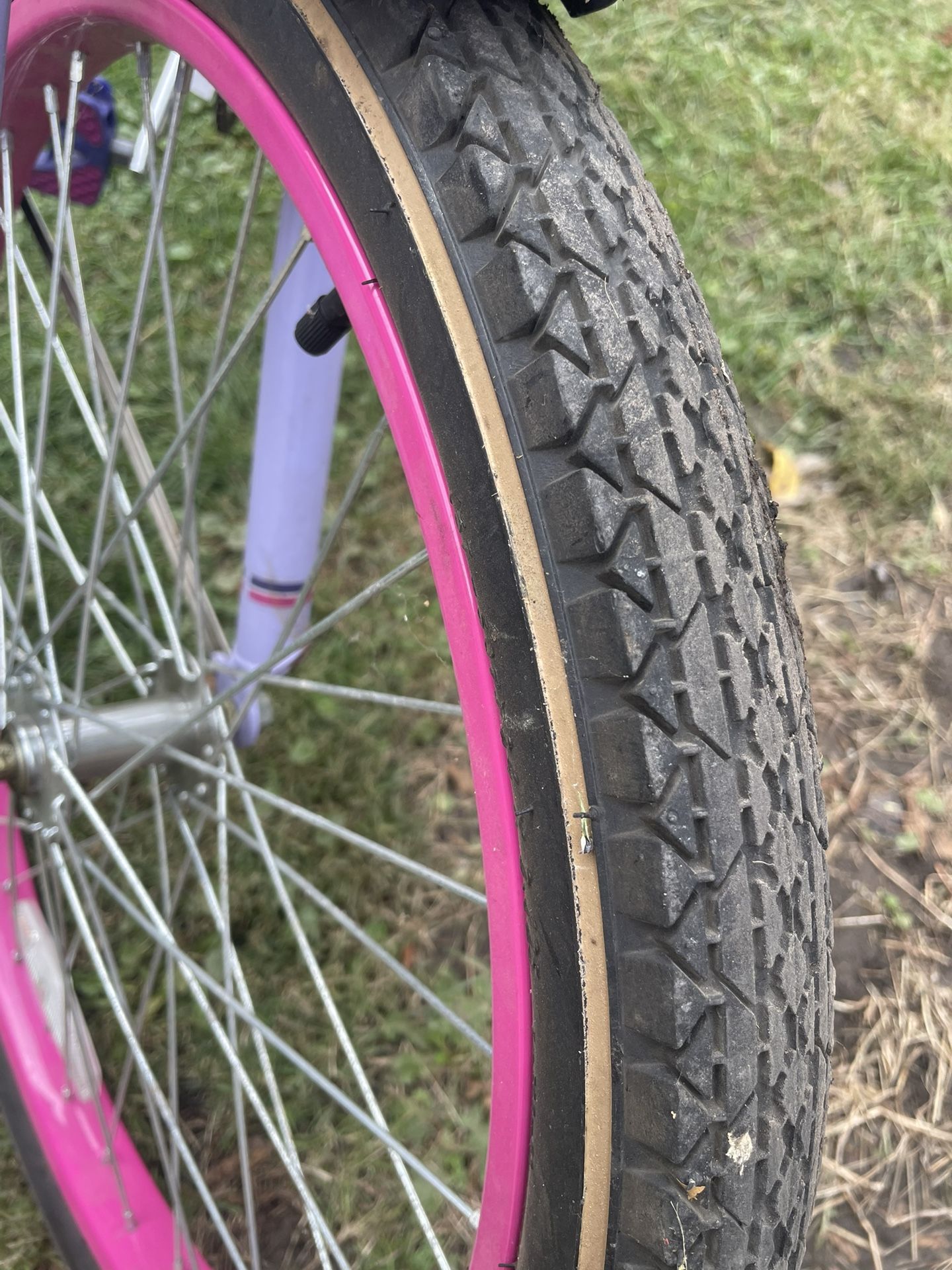 Bicicleta 24