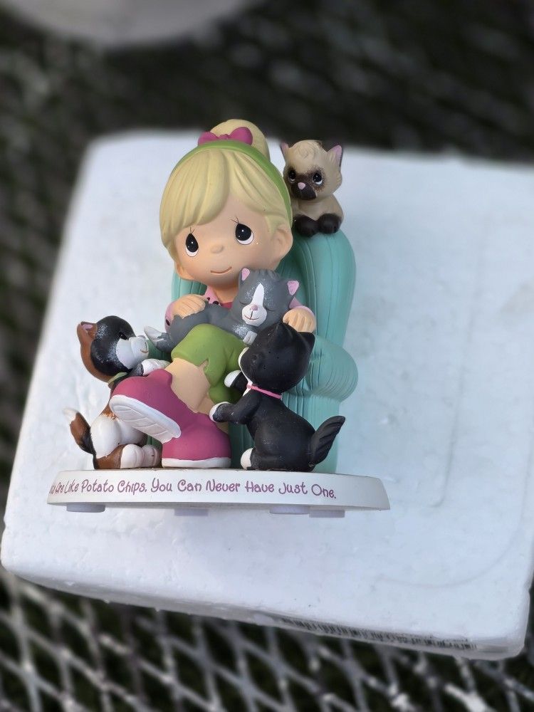 Cats Like Potato Chips Never Get Tire