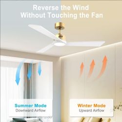 Ceiling Fan With Light 