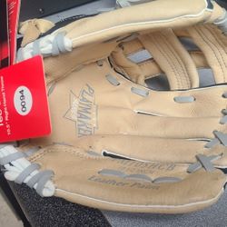Baseball Glove