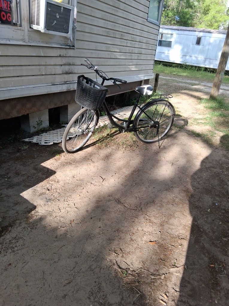 Beach Cruiser