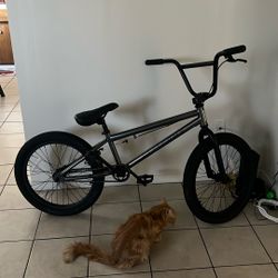 Elite BMX Bike