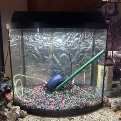 Bowed Front Fish Tank With Accessories 15 Gallon Aquarium 