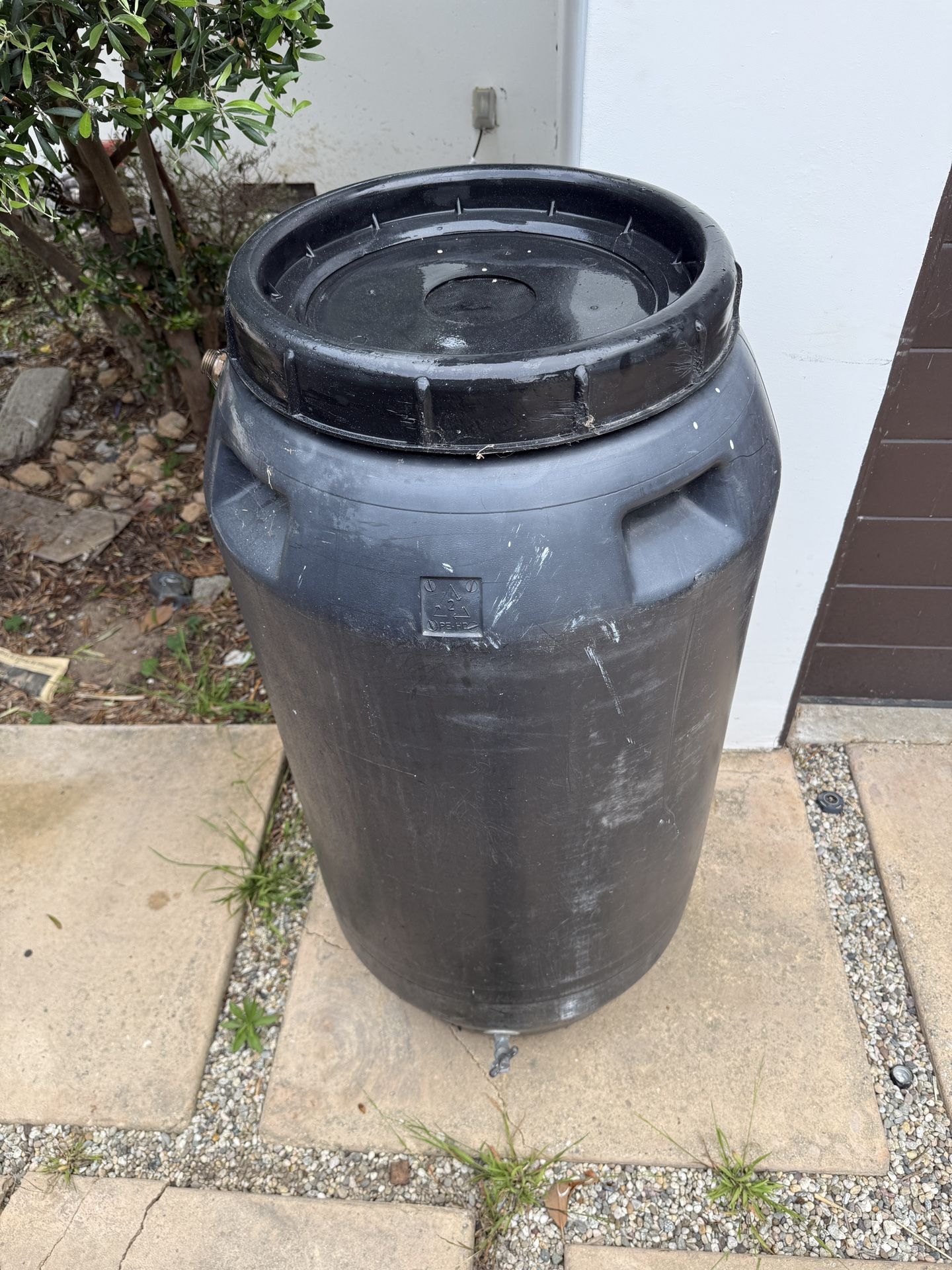 Rain Gallon 60g