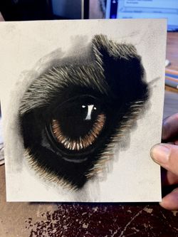 Custom Dog Eye Portrait In Pastels Selling For $15
