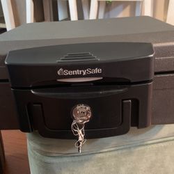 Sentry Safe Sale