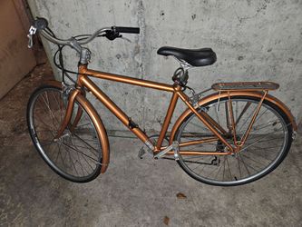 Specialized Glove Daily 2 Copper 19.5 in frame
