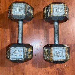 40 Lbs Dumbbells 