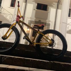 Fat Ripper Trades For E Bike 