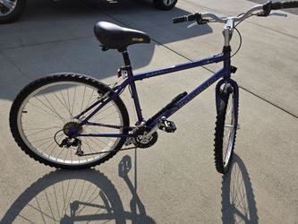 Mens Schwinn Bike