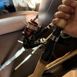 Fishing Rod/reel Combo 